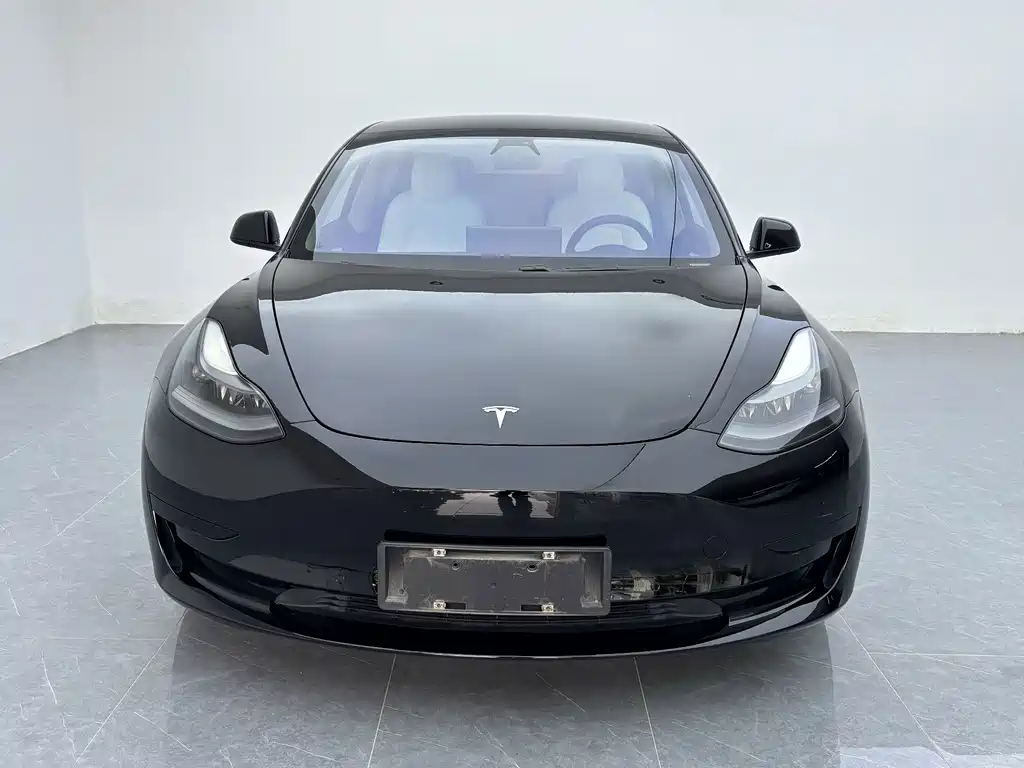 Tesla Model 3 — миниатюра 2