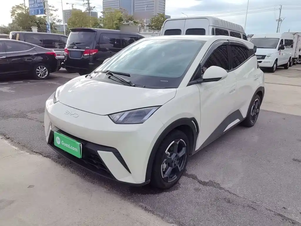 BYD Seagull 2024 305km Freedom