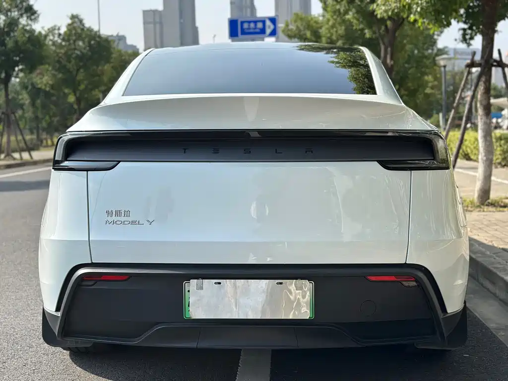Tesla Model Y — миниатюра 5