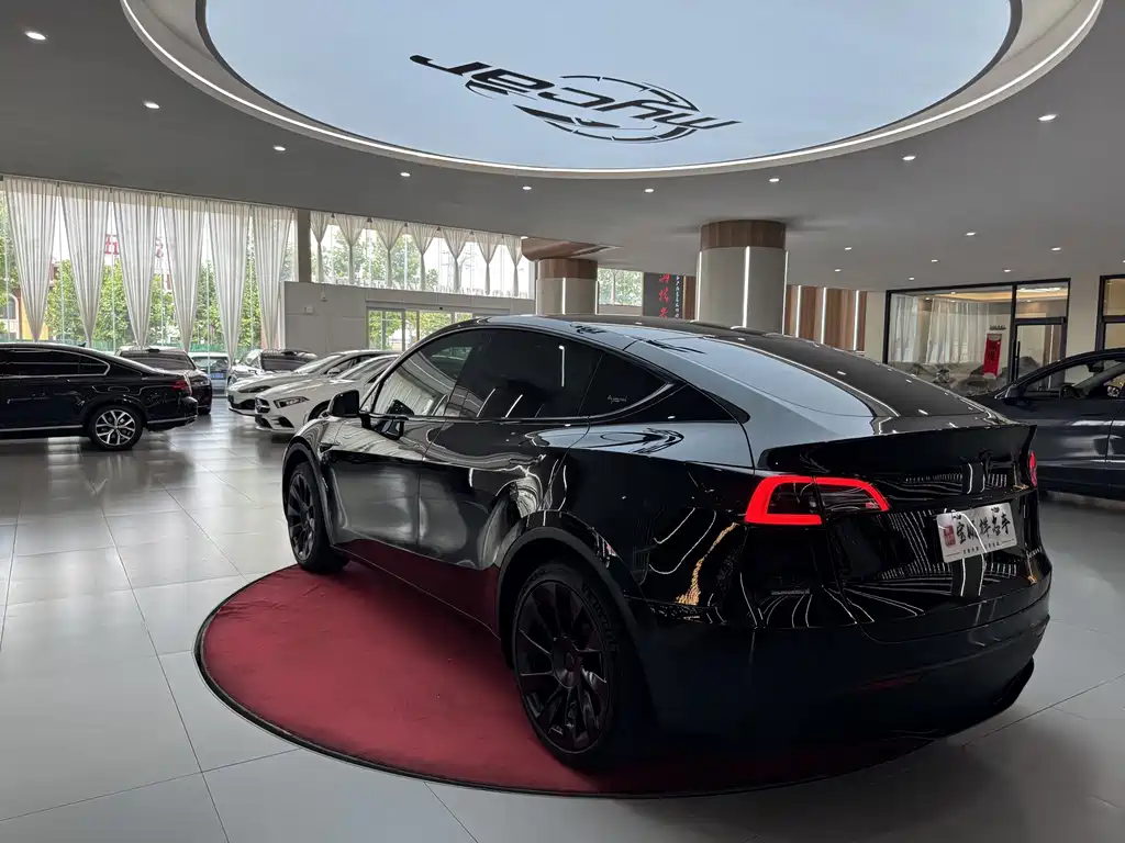 Tesla Model Y — миниатюра 5