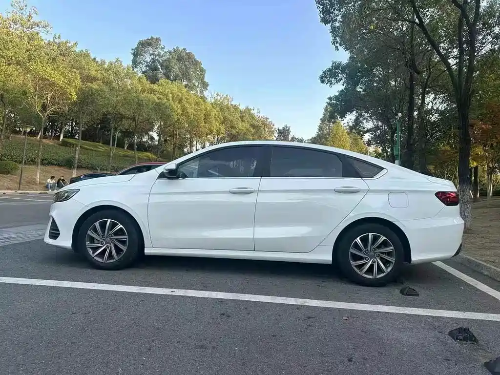 GEELY AUTOMOBILE BINRUI