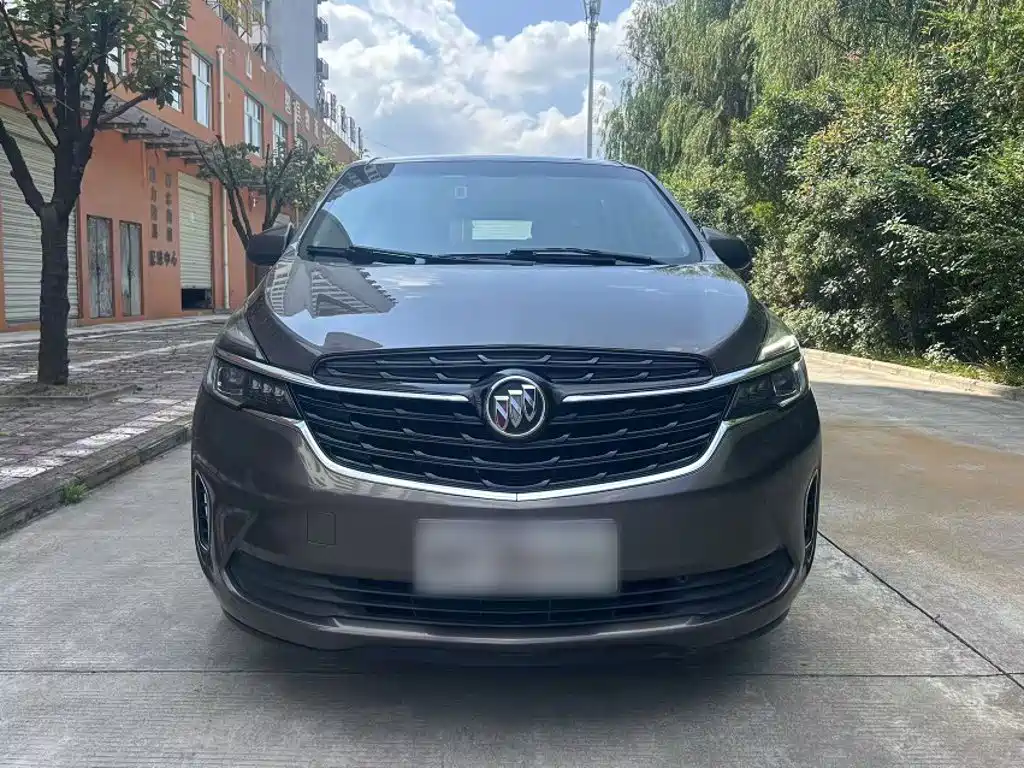 Buick GL8 — миниатюра 6