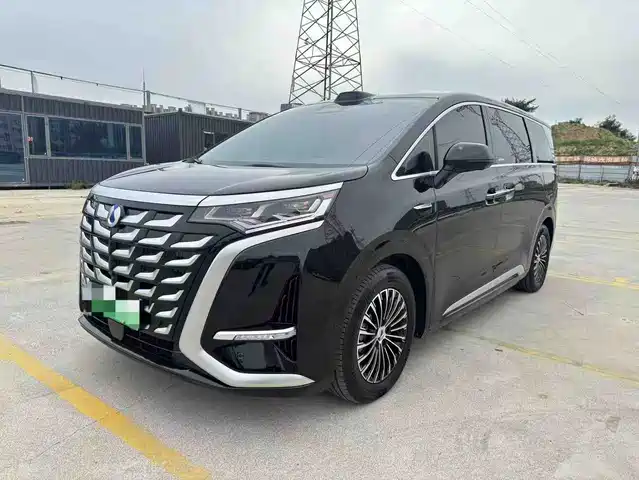2025 Denza D9