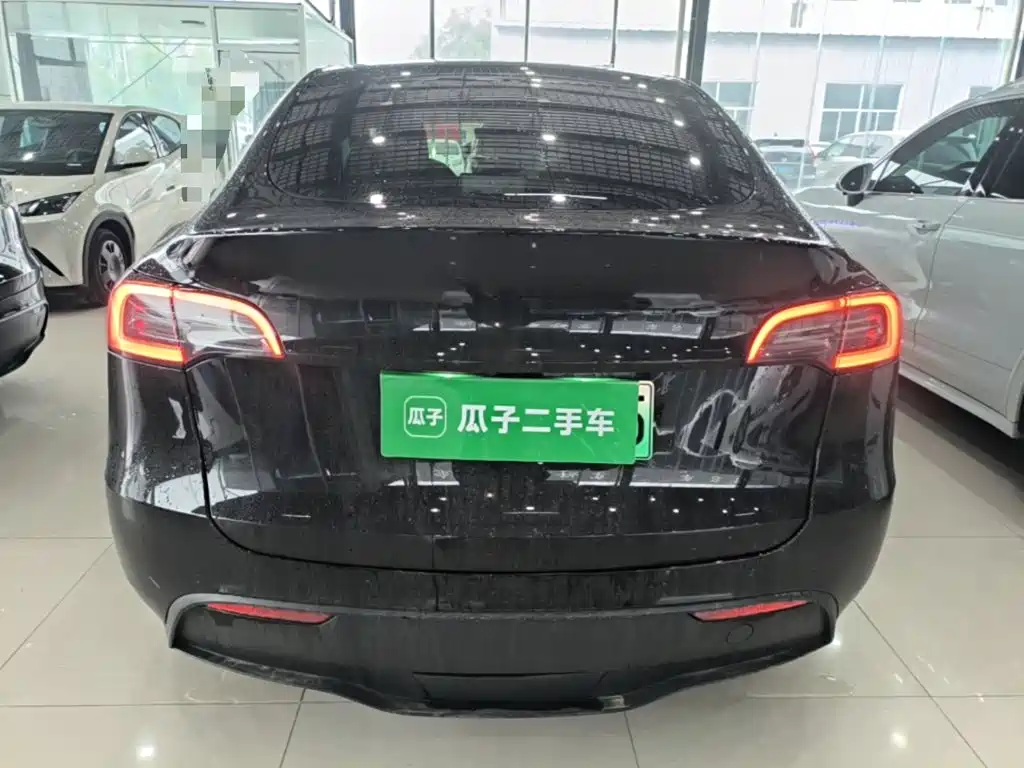 Tesla Model Y — миниатюра 6