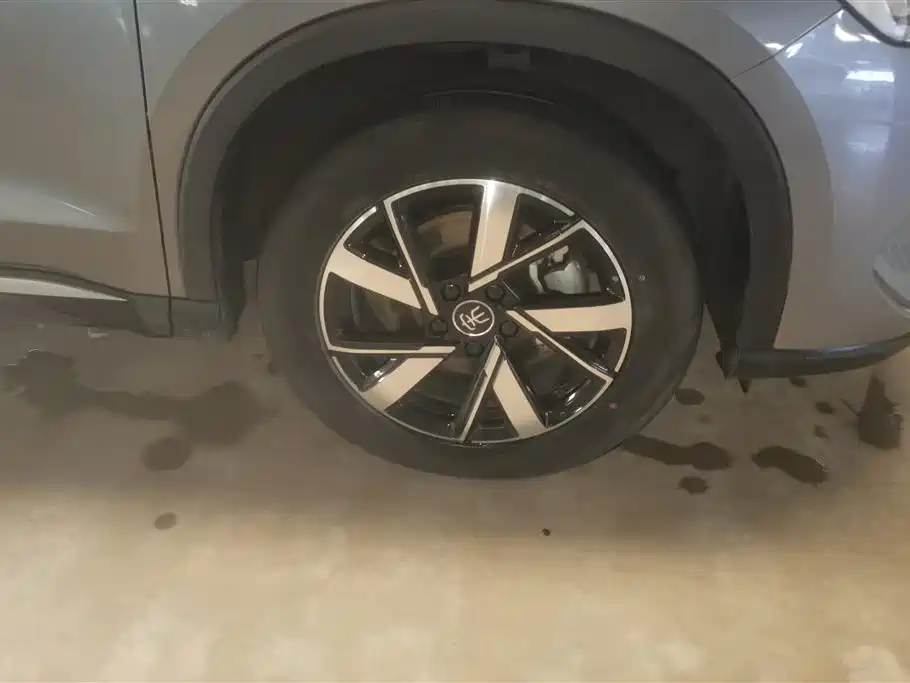 BYD SONGJIANG NEW ENERGY