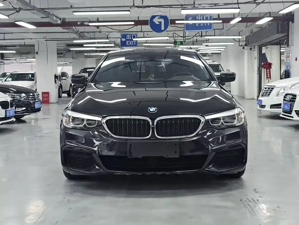 BMW 5 Series — миниатюра 2