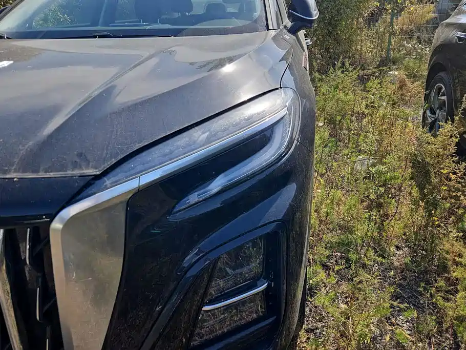 Hongqi Hongqi HS3 PHEV — миниатюра 5