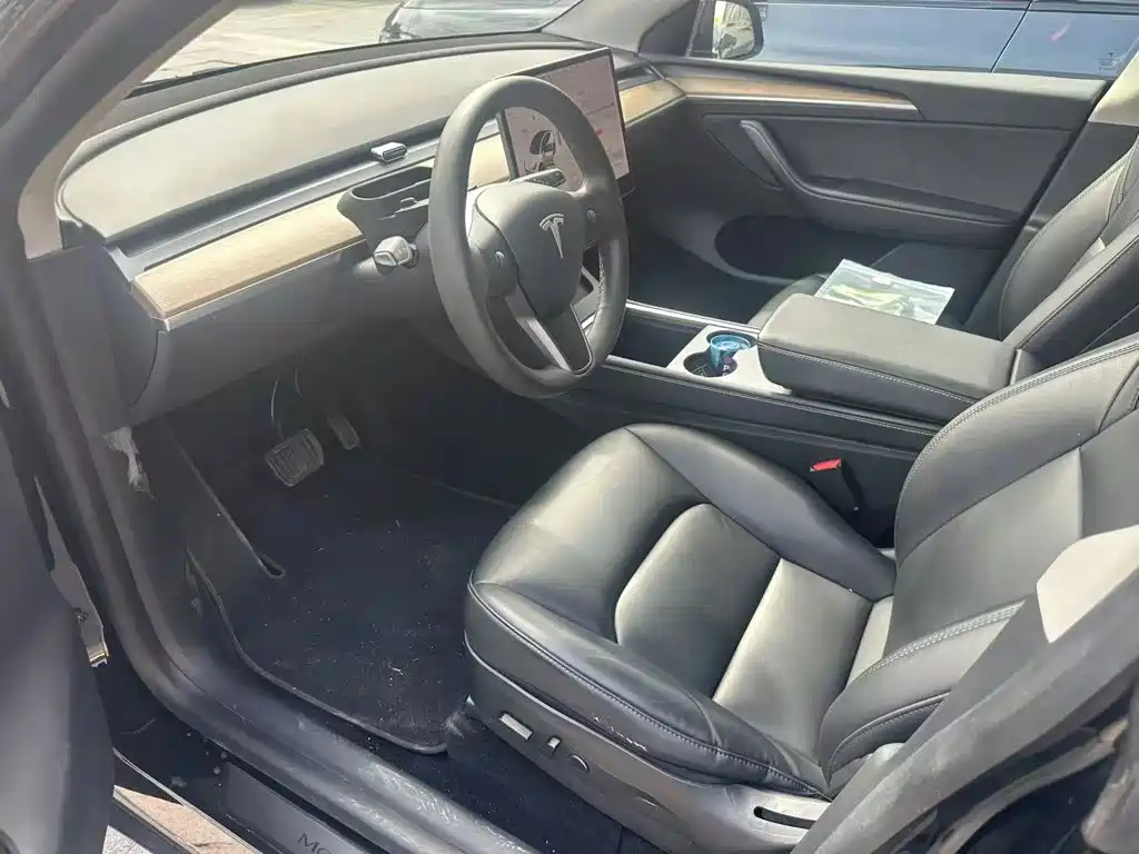 Tesla Model Y — миниатюра 2
