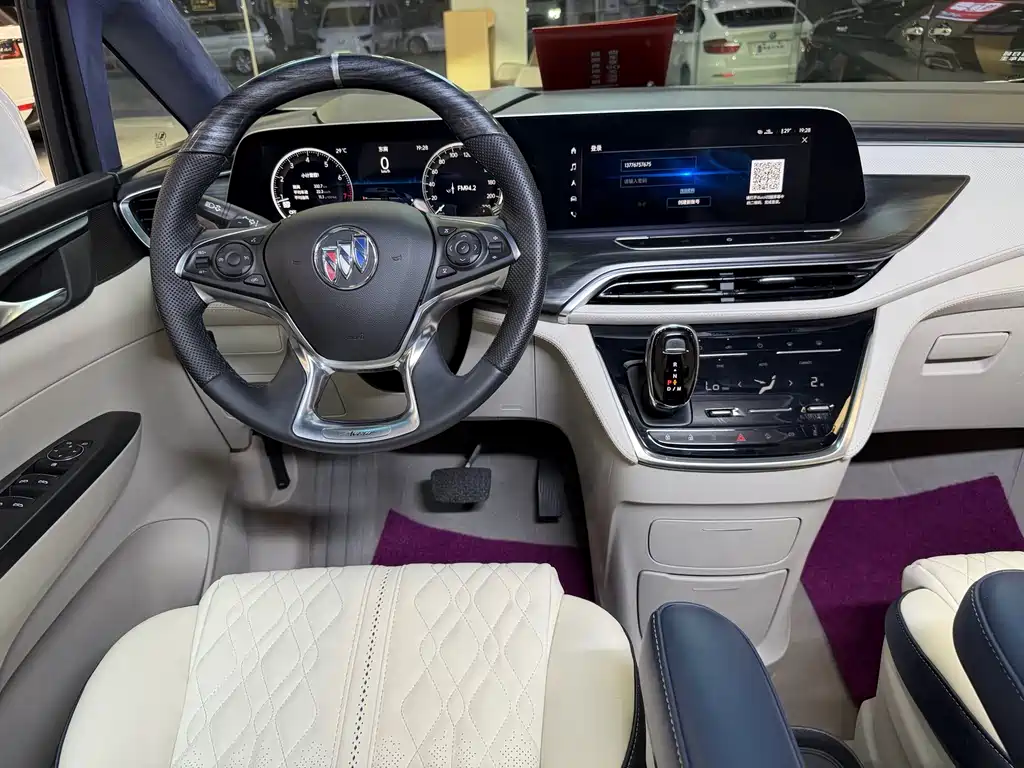 Buick GL8 — миниатюра 18