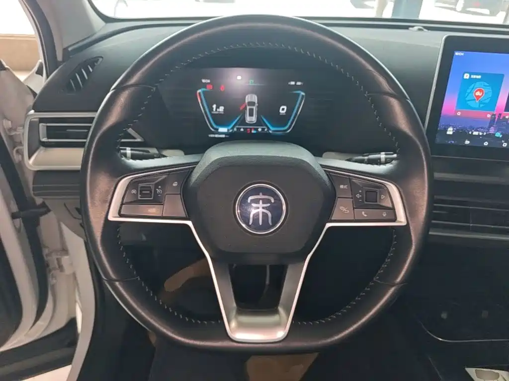 BYD Pro — миниатюра 11