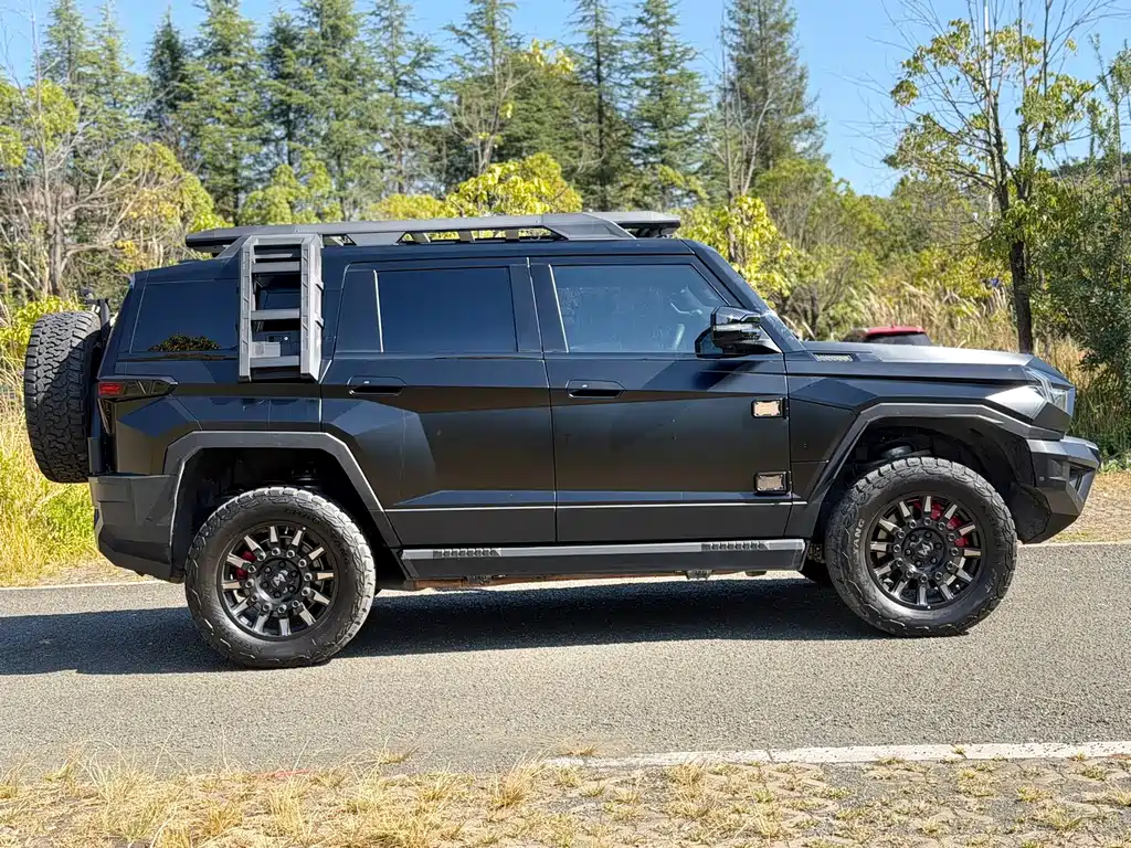 Mengshi Mengshi 917 — миниатюра 4