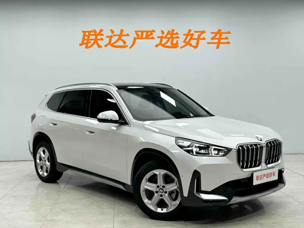 BMW X1 — миниатюра 24