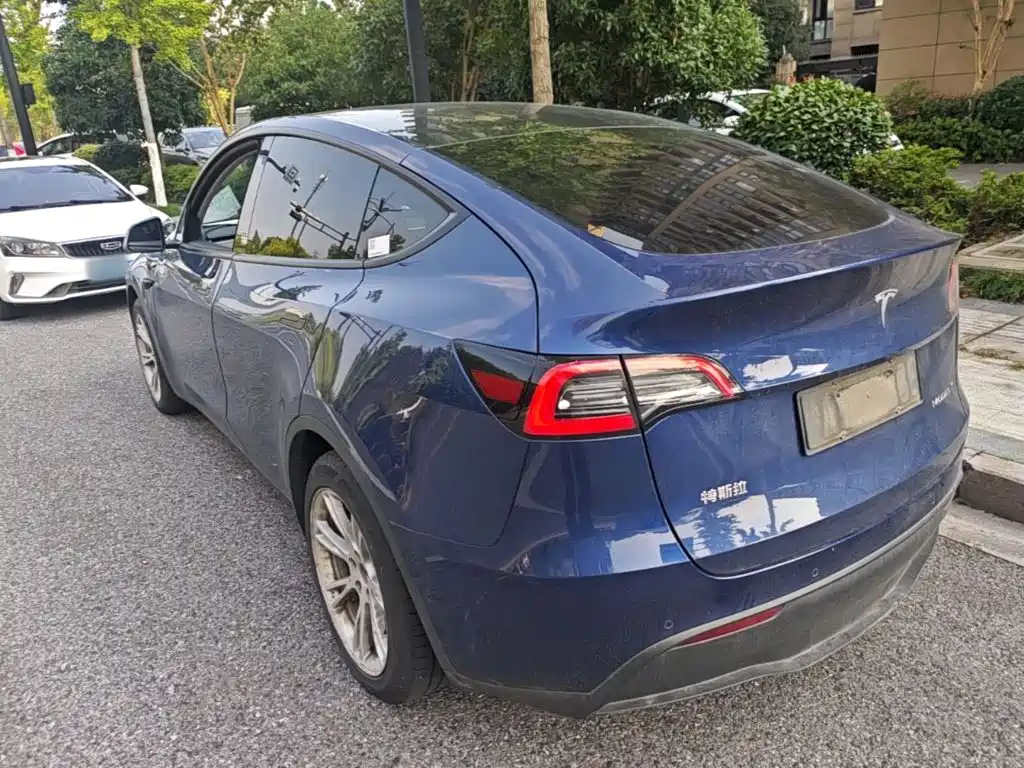 Tesla Model Y — миниатюра 5