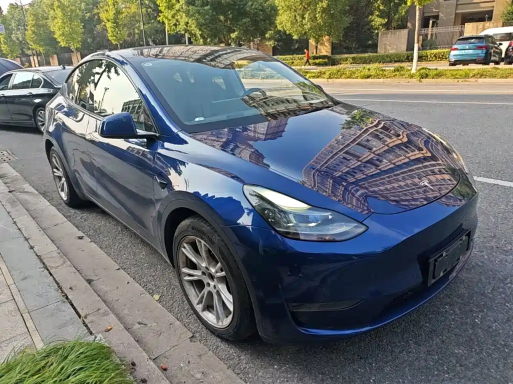 Tesla Model Y — миниатюра 4