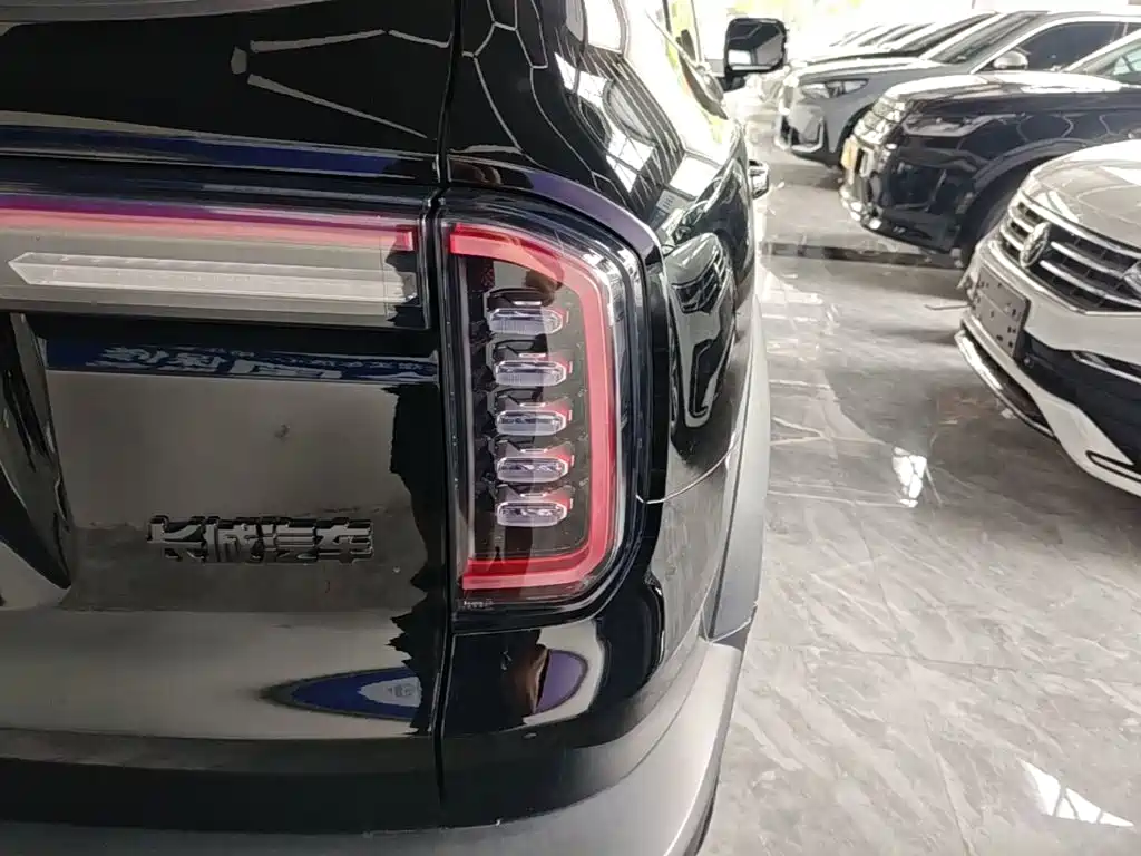 Haval Big Dog — миниатюра 24