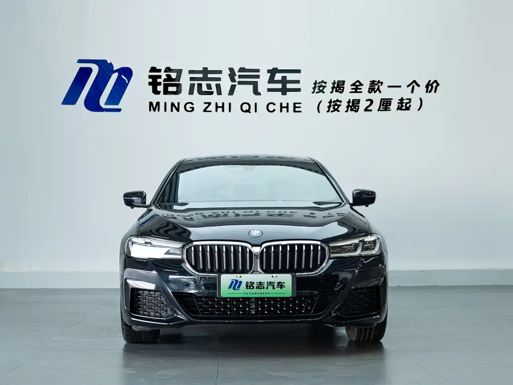 BMW 5 Series New Energy — миниатюра 3