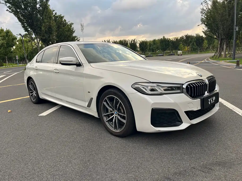 BMW 5 Series New Energy — миниатюра 3