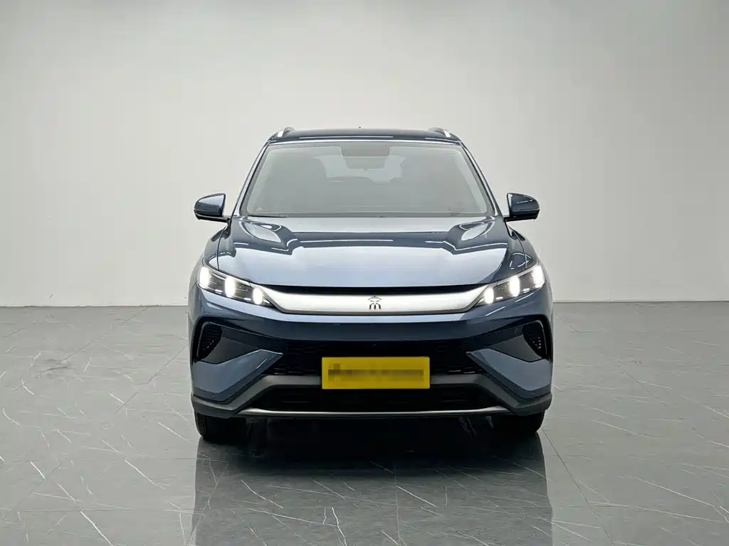 BYD Pro New Energy — миниатюра 2