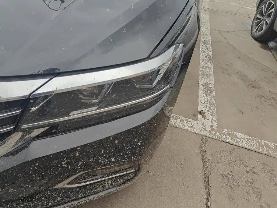Volkswagen Passat — миниатюра 5