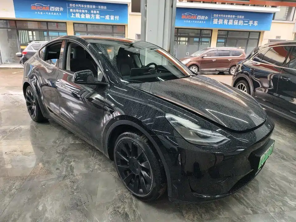 Tesla Model Y — миниатюра 2