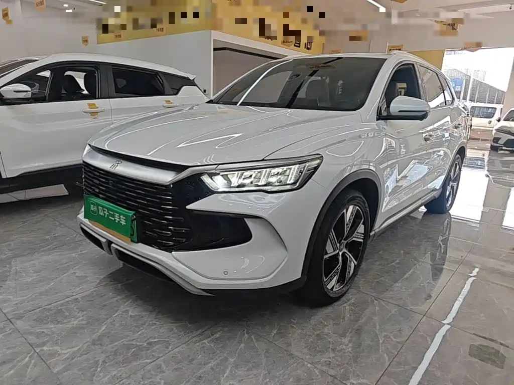 BYD Pro New Energy