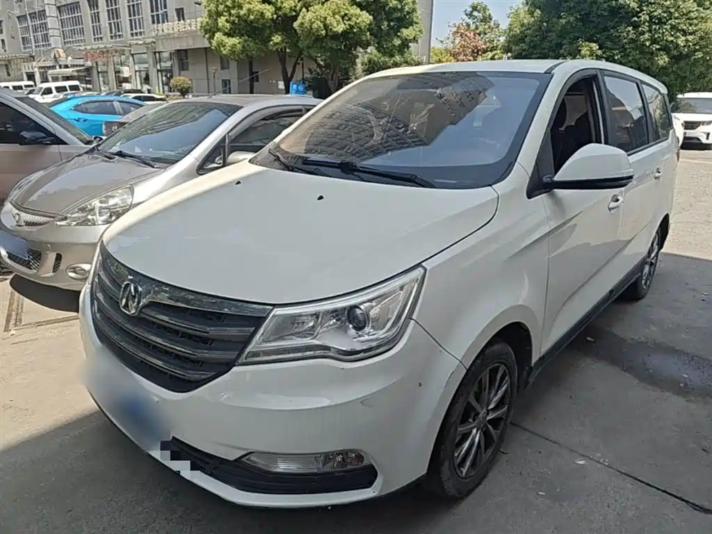 Baw Weiwang M50F 2017