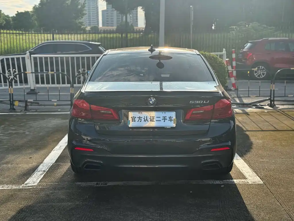 BMW 5 Series — миниатюра 19