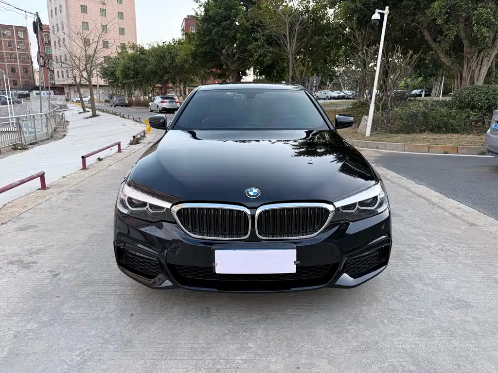 BMW 5 SERIES