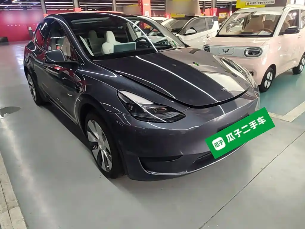 Tesla Model Y — миниатюра 4