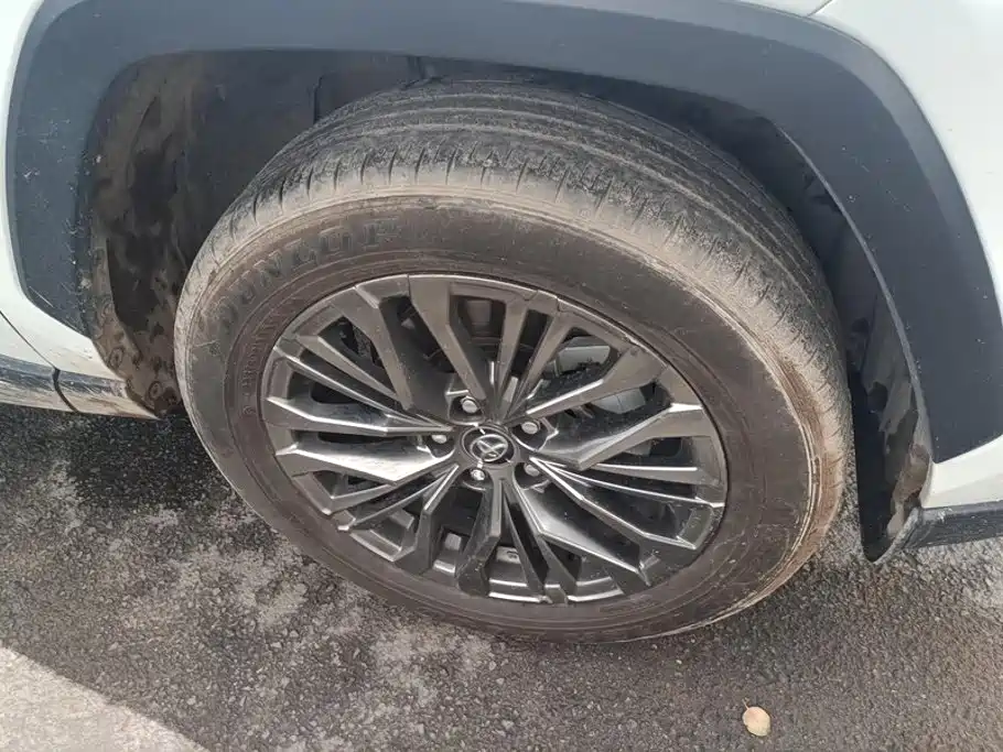 Toyota Wildlander — миниатюра 6