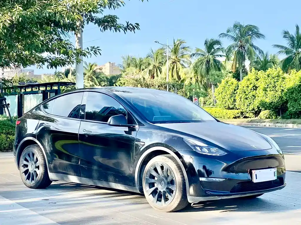 Tesla Model Y — миниатюра 3