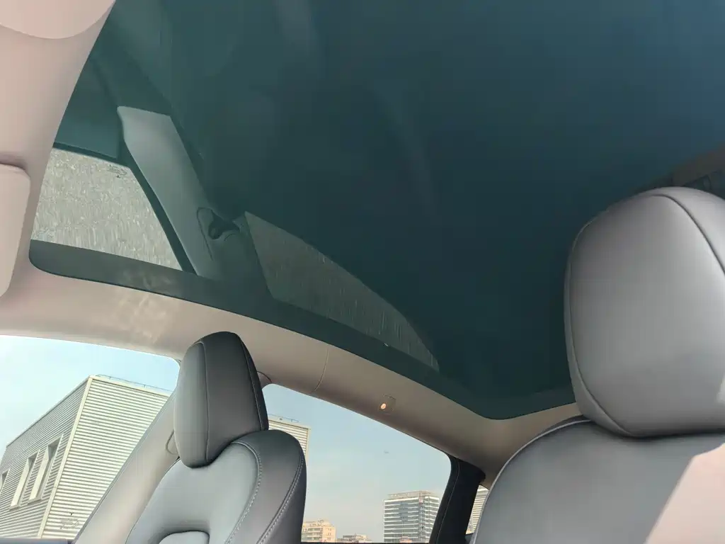 Tesla Model Y — миниатюра 4