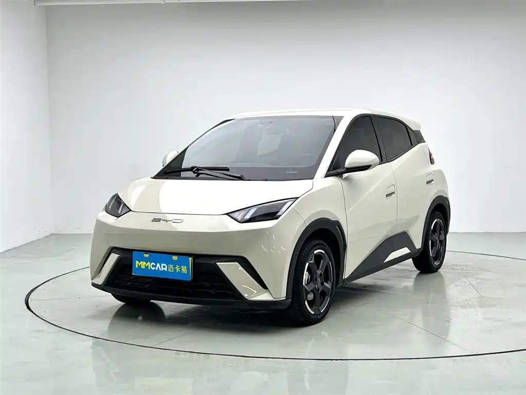 Byd Seagull 2024
