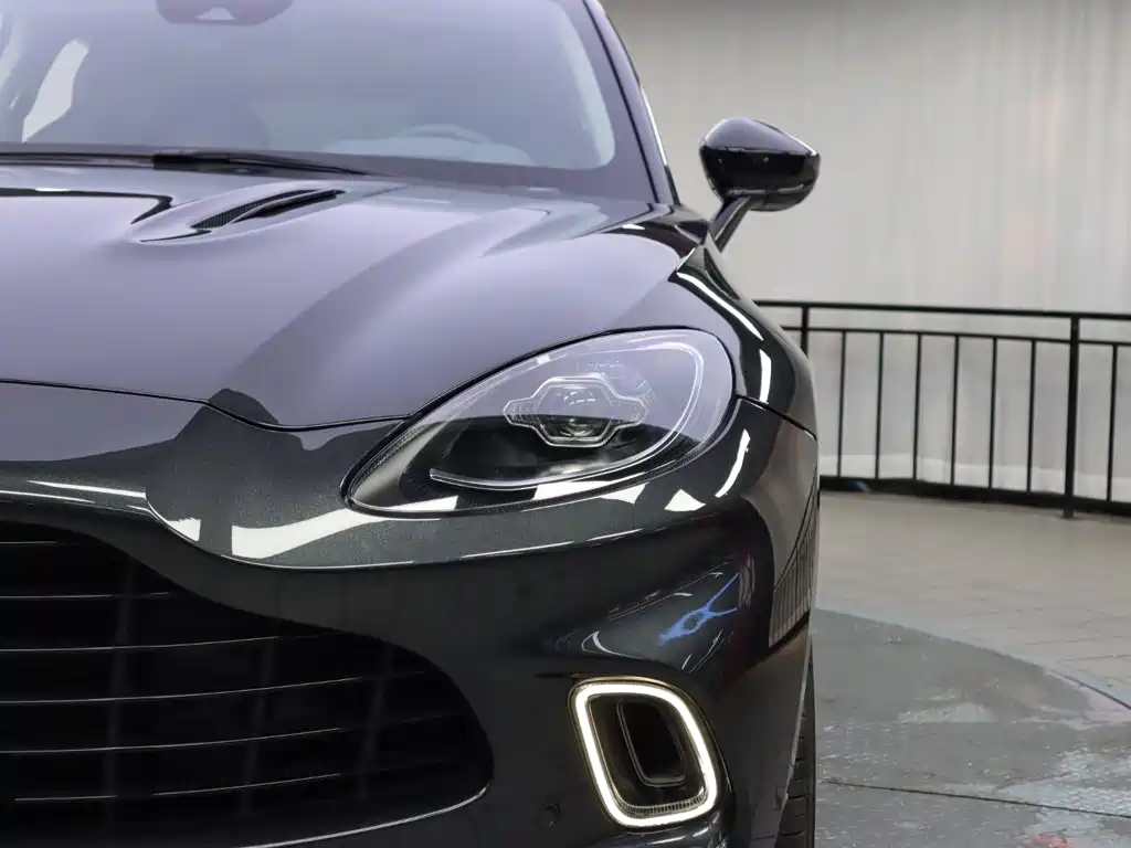 Aston Martin DBX — миниатюра 23