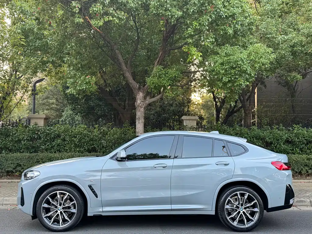 BMW X4 — миниатюра 3