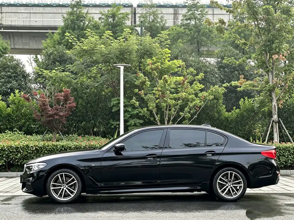 BMW 5 Series 5 2019 525Li M Sport