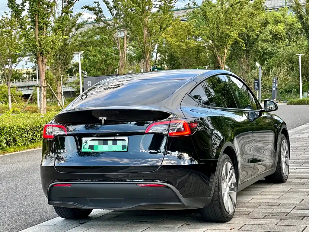 Tesla Model Y — миниатюра 6