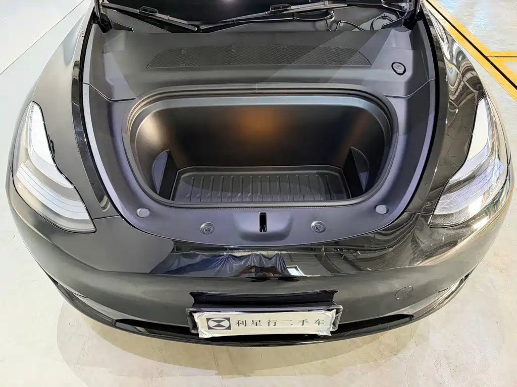 Tesla Model Y — миниатюра 11