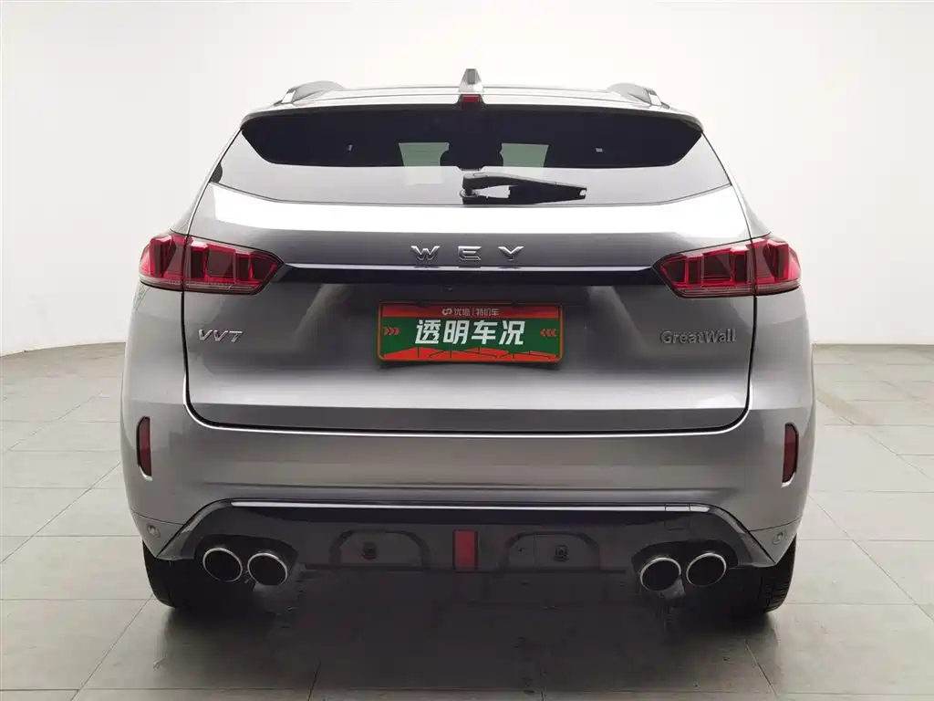 WEI PAI WEI BRAND VV7