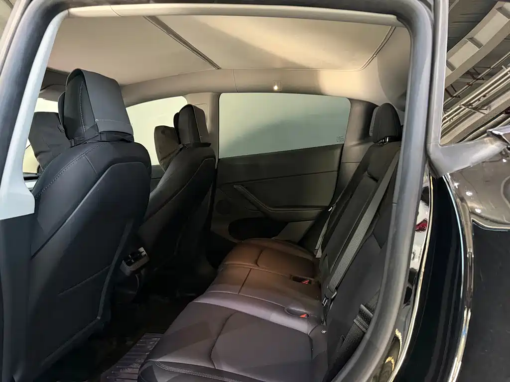 Tesla Model Y — миниатюра 5