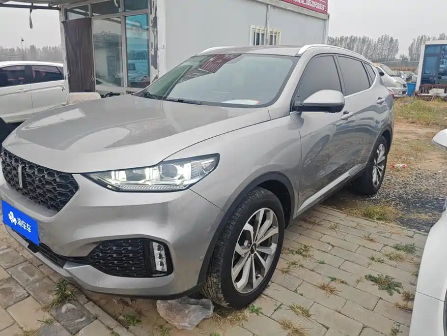 Wey Wey VV6