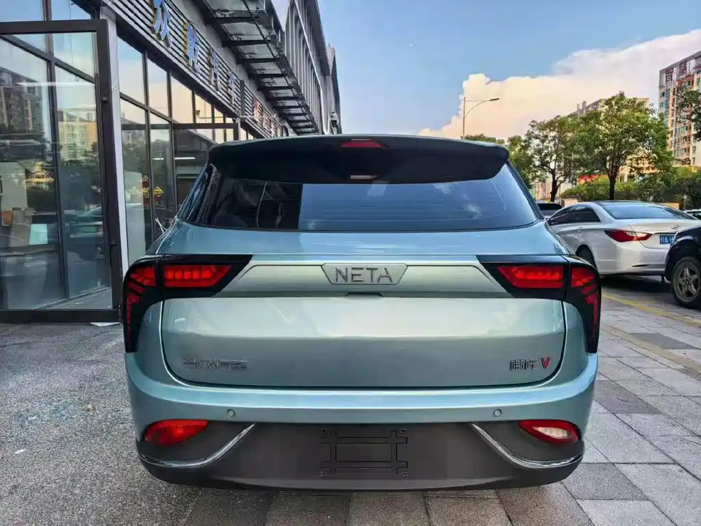 Neta Neta V — миниатюра 4