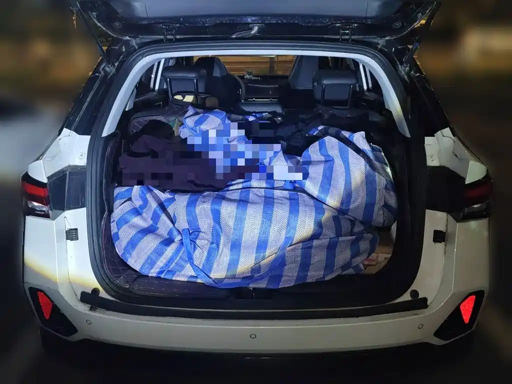 Wuling Xingchi — миниатюра 10