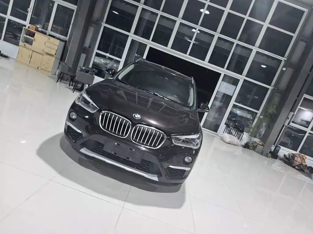 BMW X1 — миниатюра 6