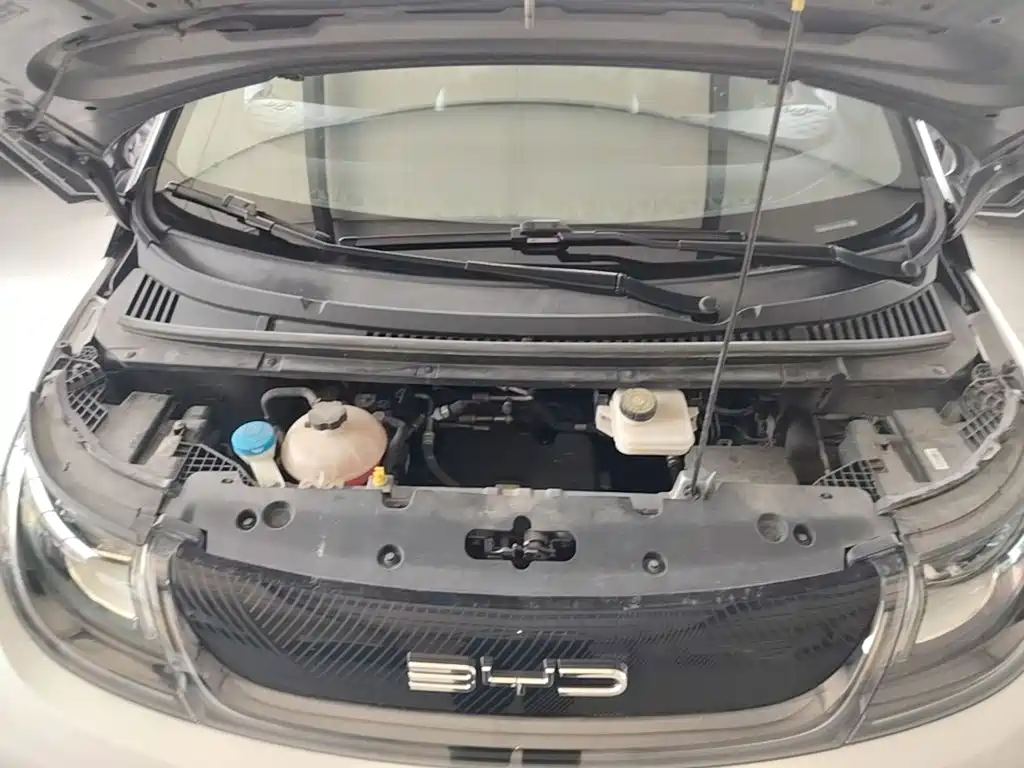 BYD Dolphin — миниатюра 20
