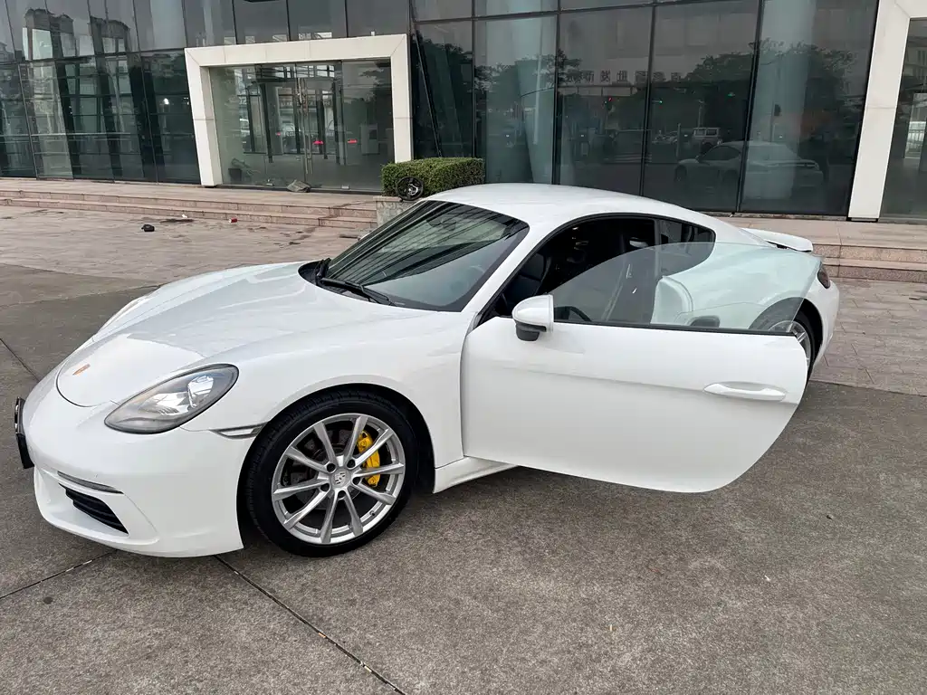 Porsche 718 — миниатюра 18