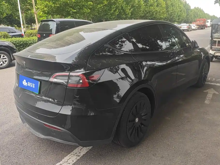 Tesla Model Y — миниатюра 3