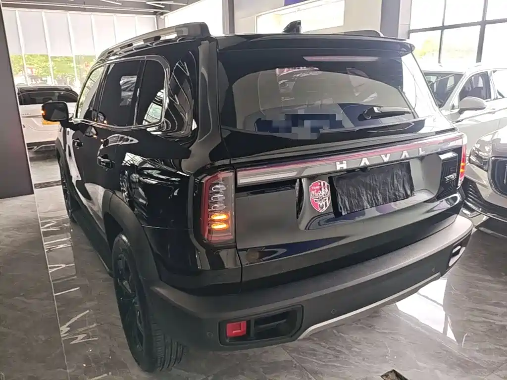 Haval Big Dog — миниатюра 23