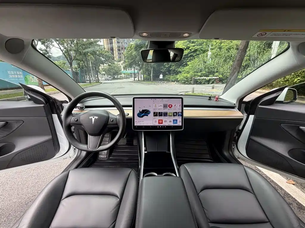 Tesla Model 3 — миниатюра 13