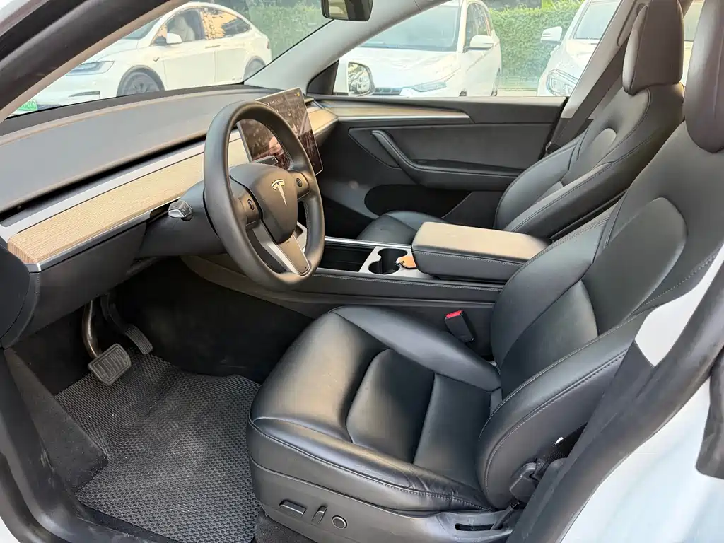 Tesla Model Y — миниатюра 7